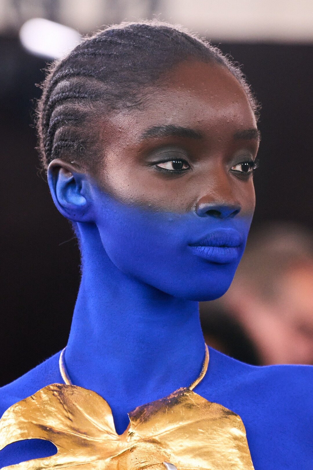 Schiaparelli