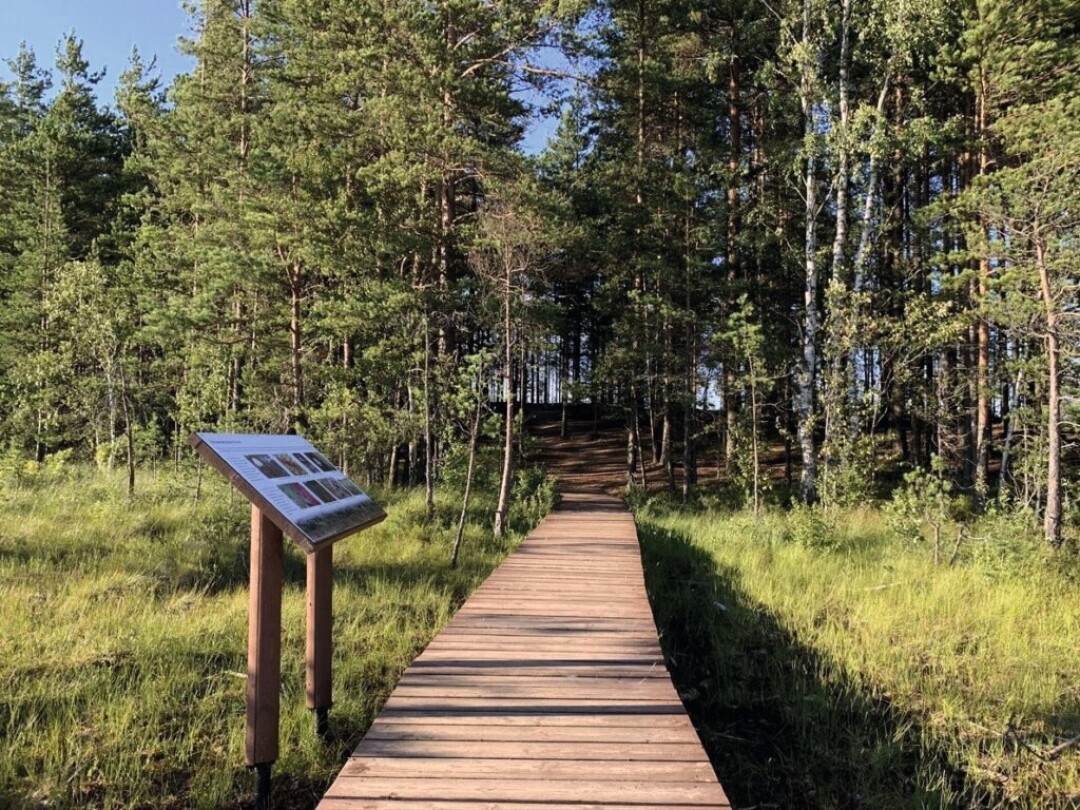 Часть маршрута экотропы идет по деревянным настилам