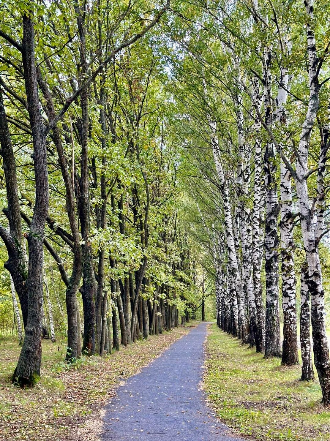 В Нижнем открылась первая городская экотропа: рассказываем, как добраться |  Sobaka.ru