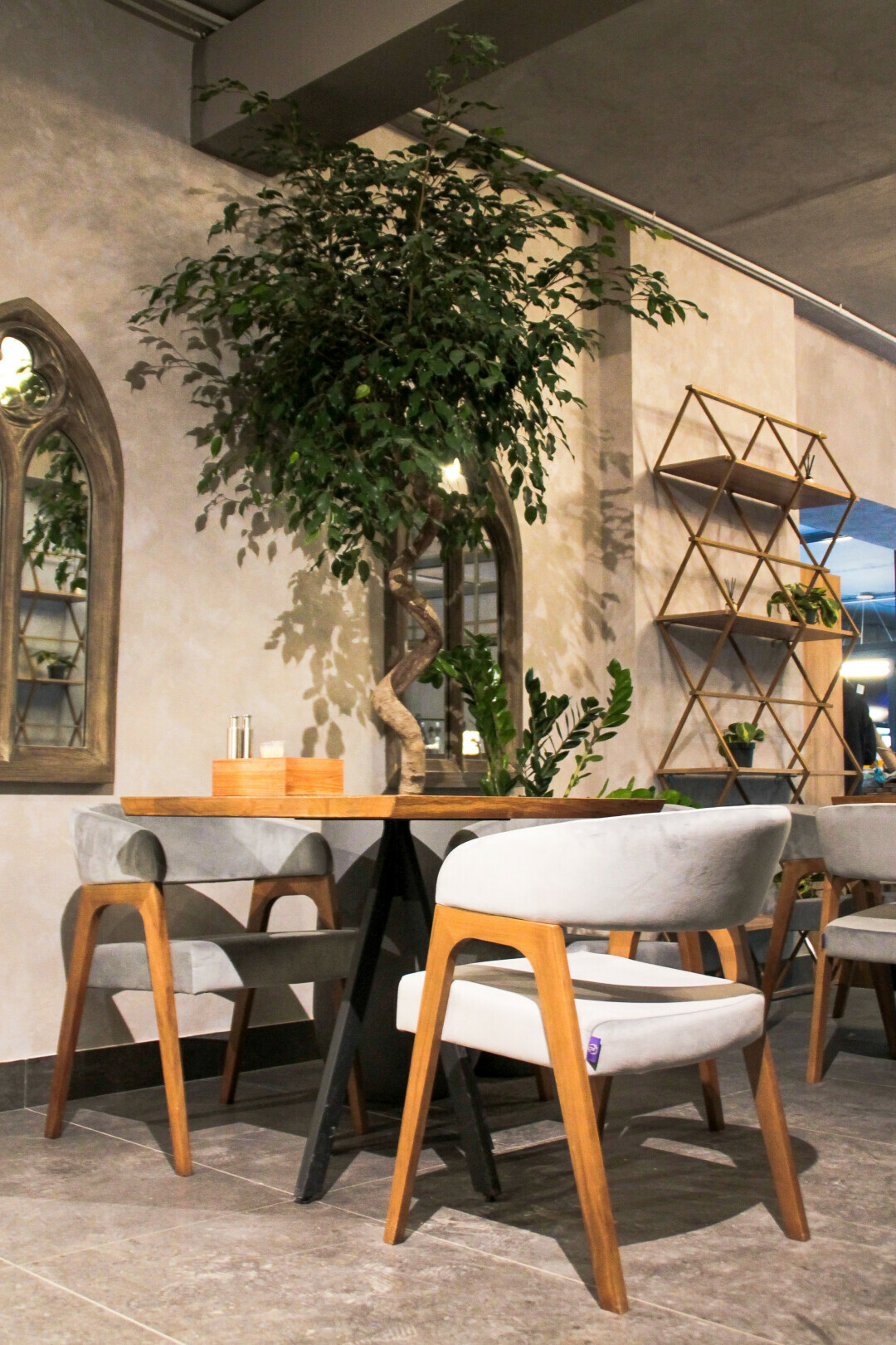 Райские сады, Ярославль