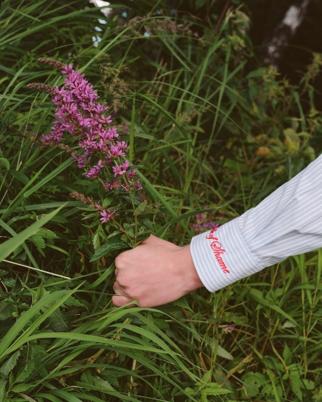 Walk of Shame FW'23-24