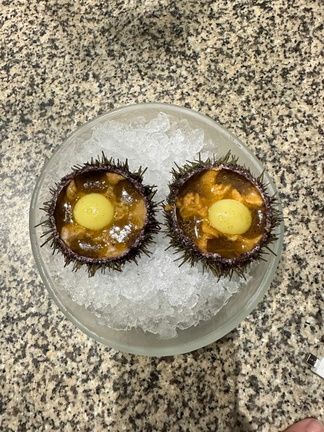 Морские ежи