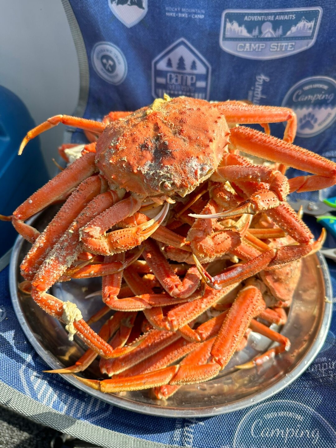 Камчатский краб