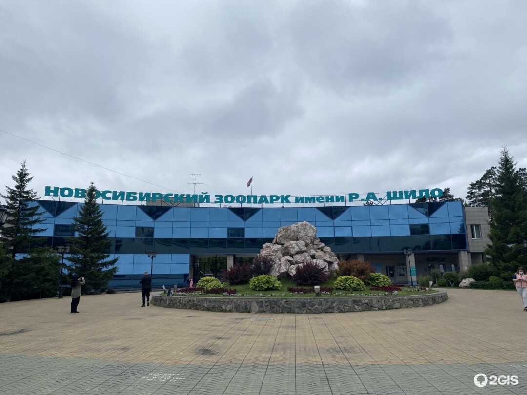 Новосибирский зоопарк имени Шило планирует открыть комплекс «Азия» в 2025  году | Sobaka.ru