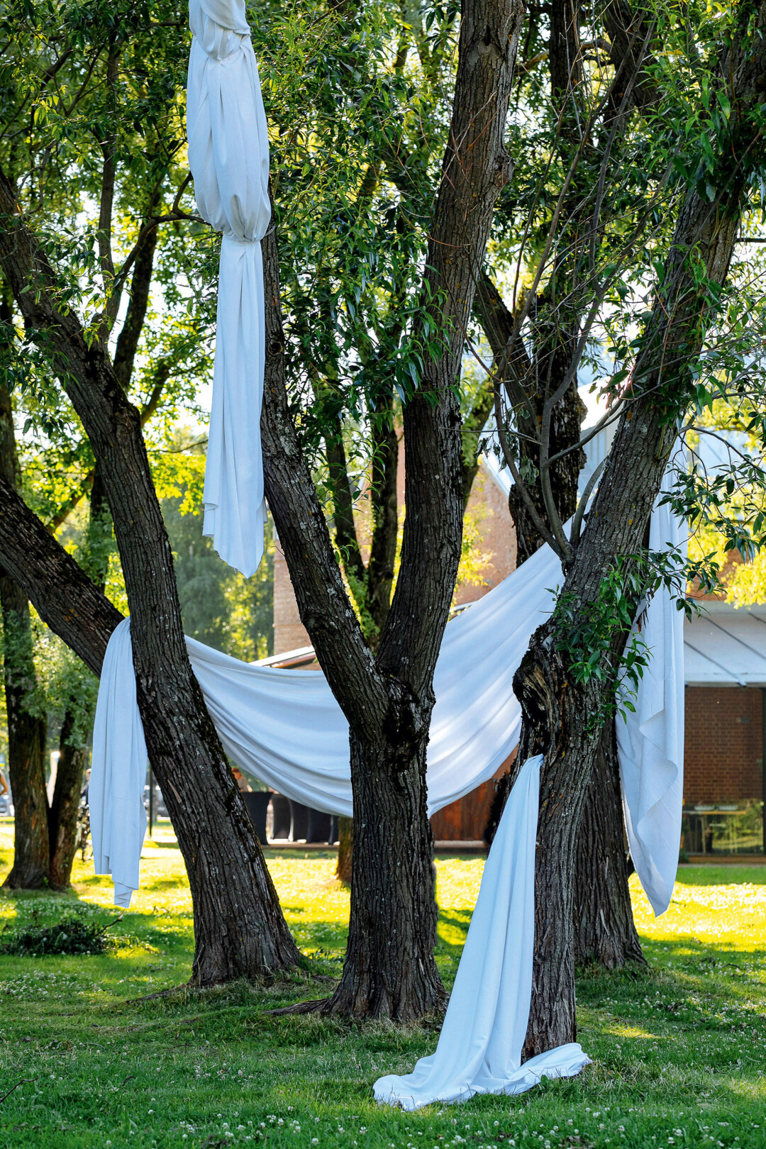 Арт-интервенция «Мифы», автор Алена Бегова