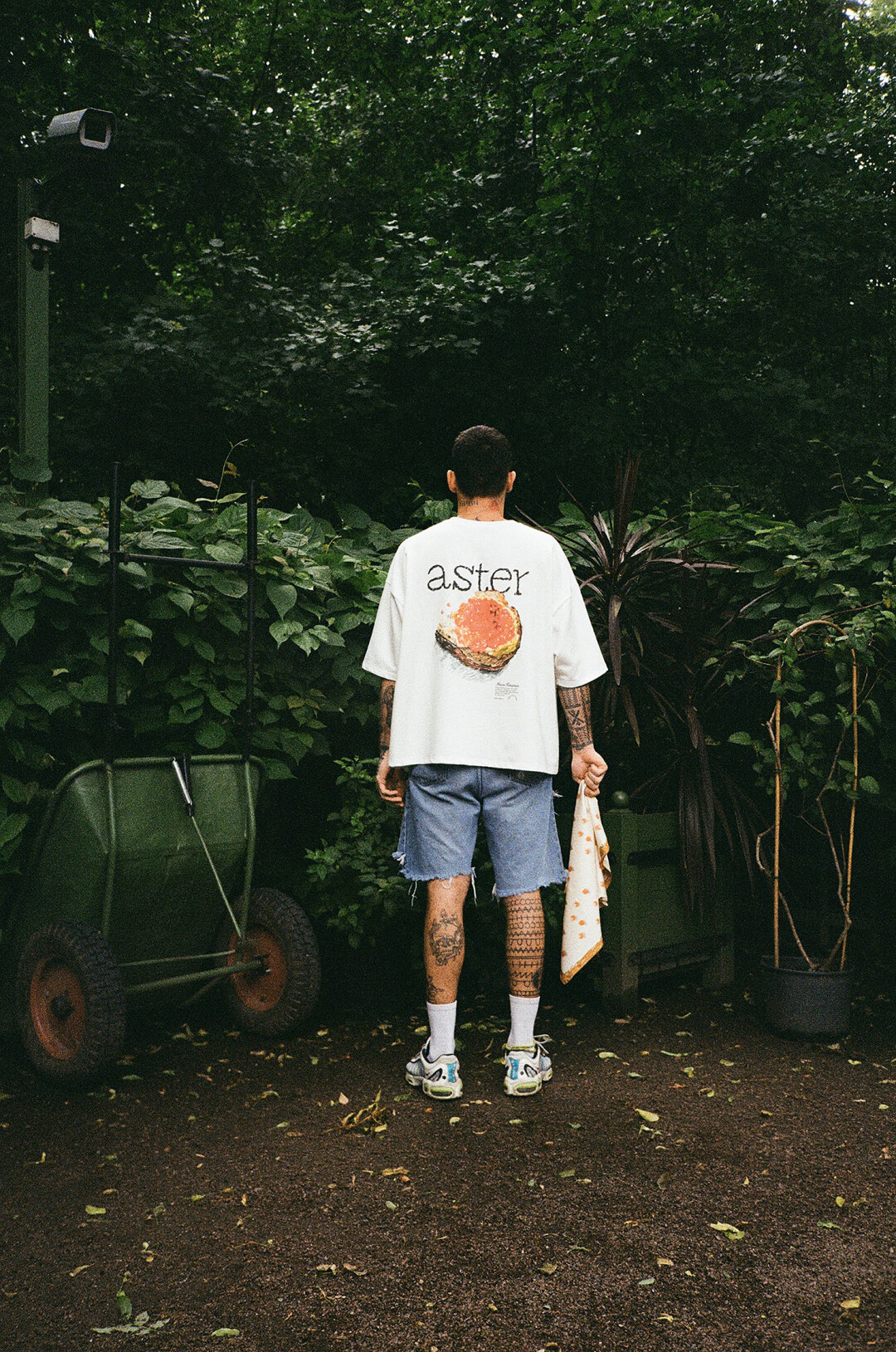 Футболка Aster