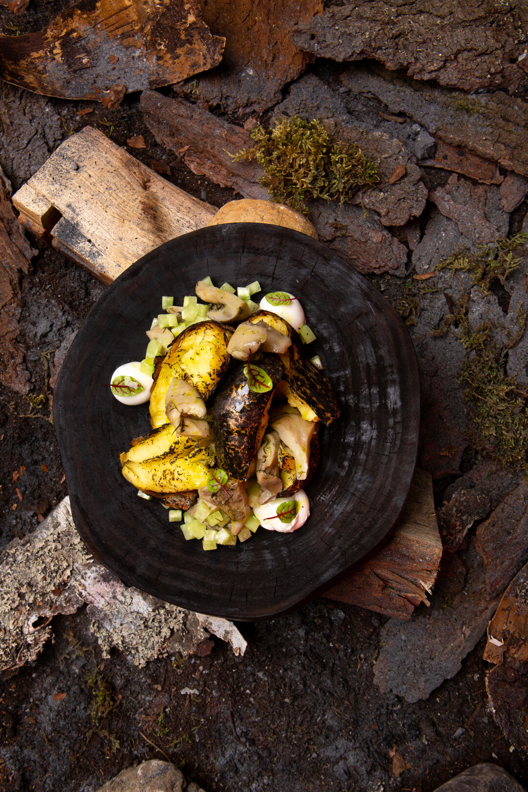 ЭКСПЕДИЦИЯ