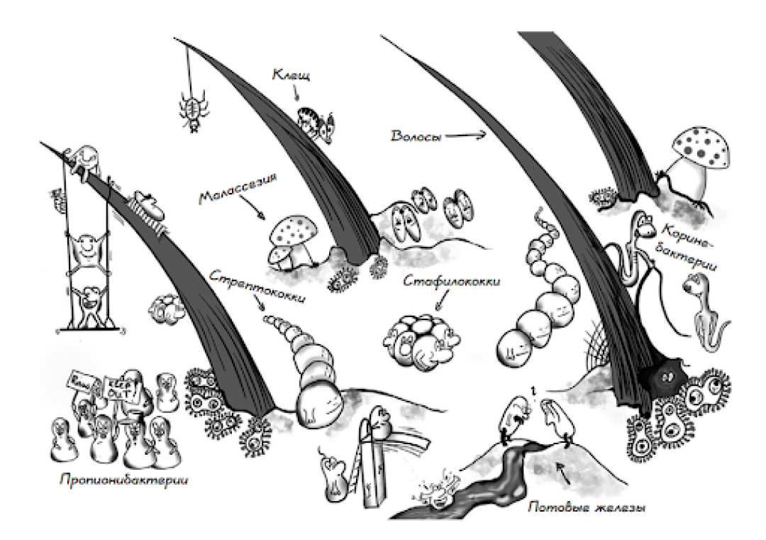 Здесь нет места для новеньких! Иллюстрация из книги