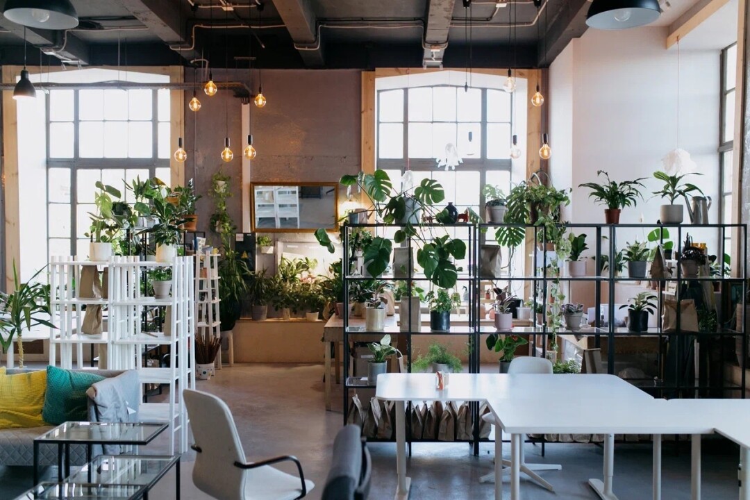 Коворкинг в Нормальном месте в «Севкабель Порту»