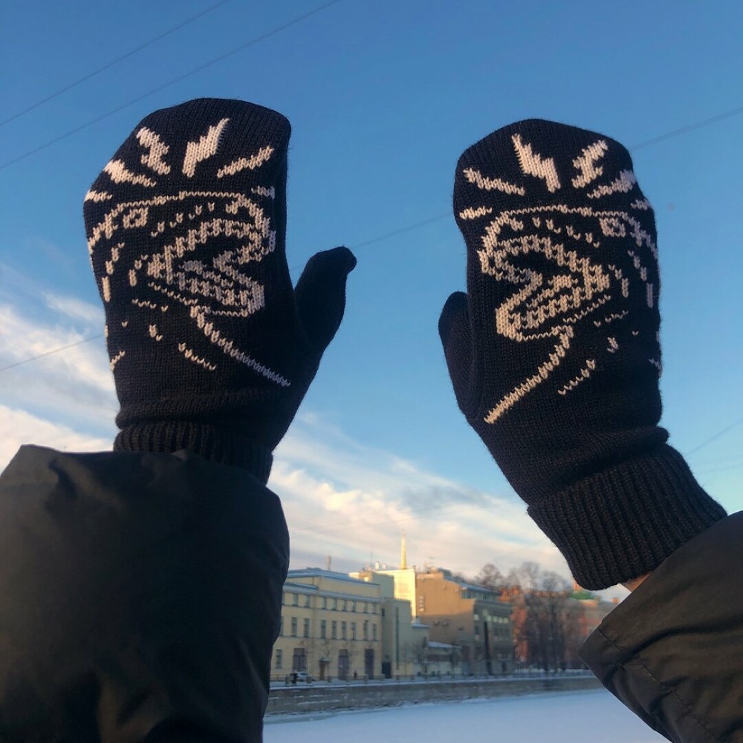 Варежки-динозавры Nikita Gruzovik, Friend Function, 1 500 руб.