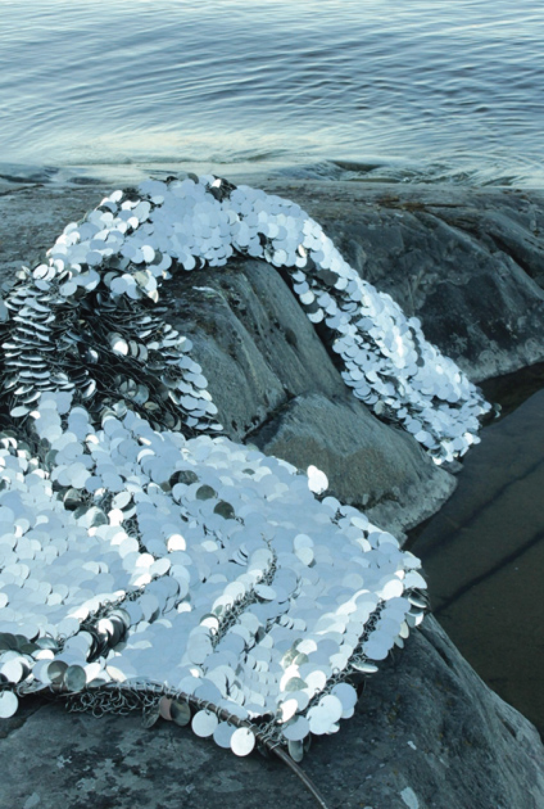 Кольчуга для Алтайского заповедника позирует на ладожских валунах.