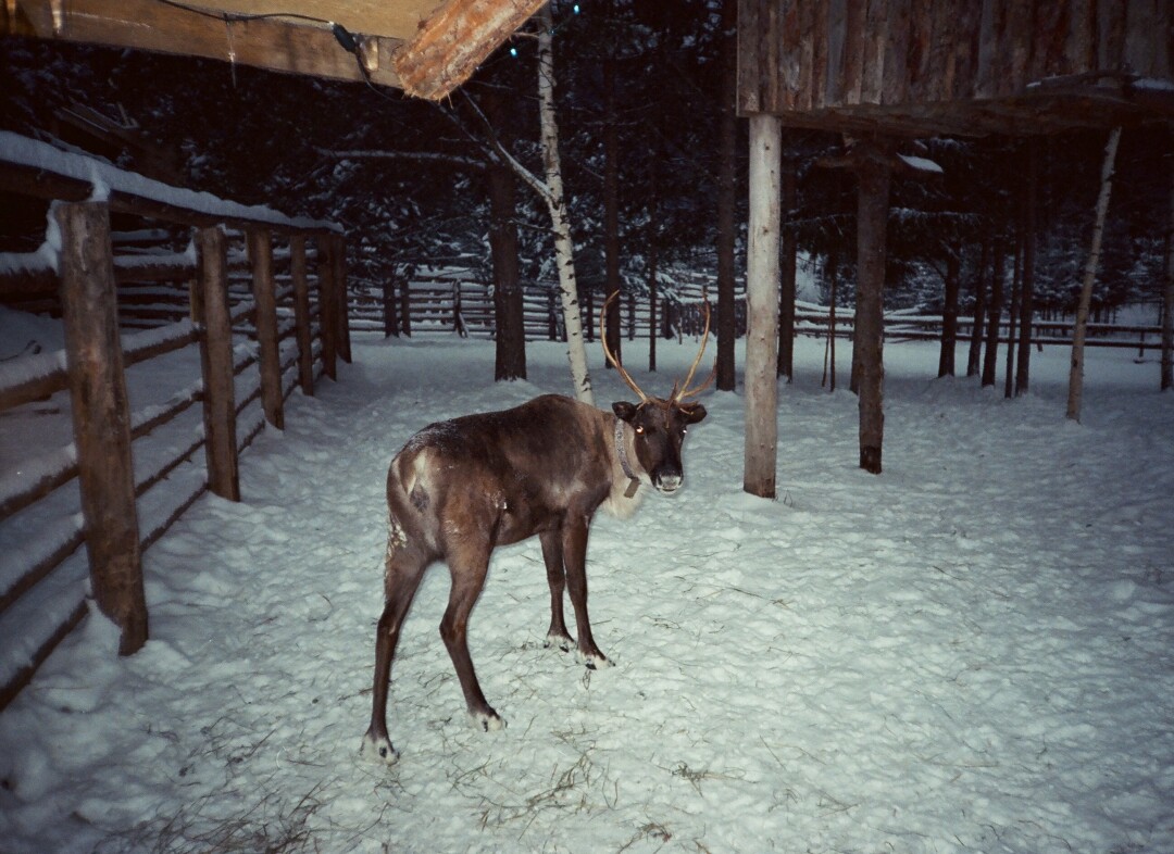 Эко-парк «Долина водопадов»