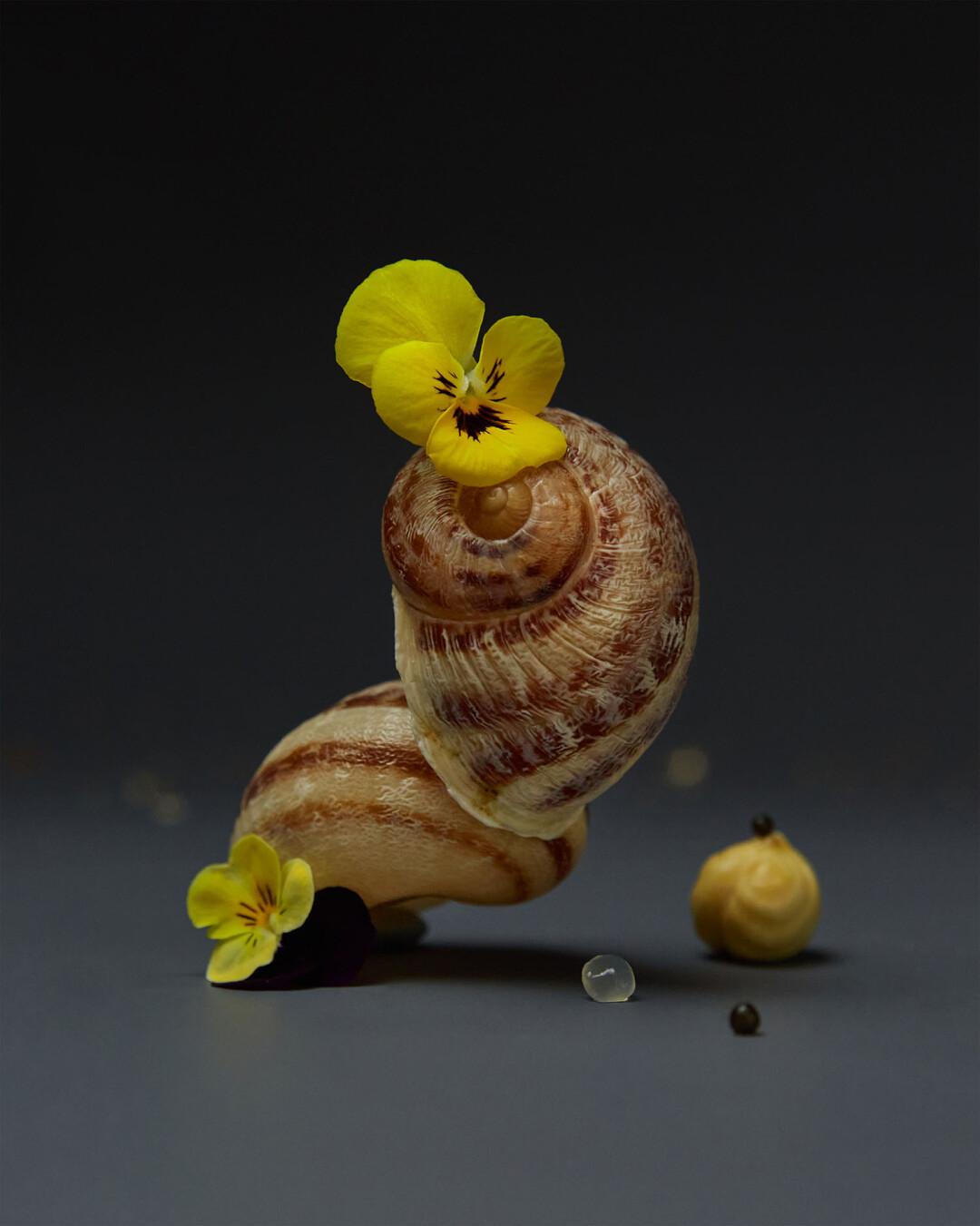 Превью блюда в ресторане ЕМ — улитка с черной и лимонной икрой