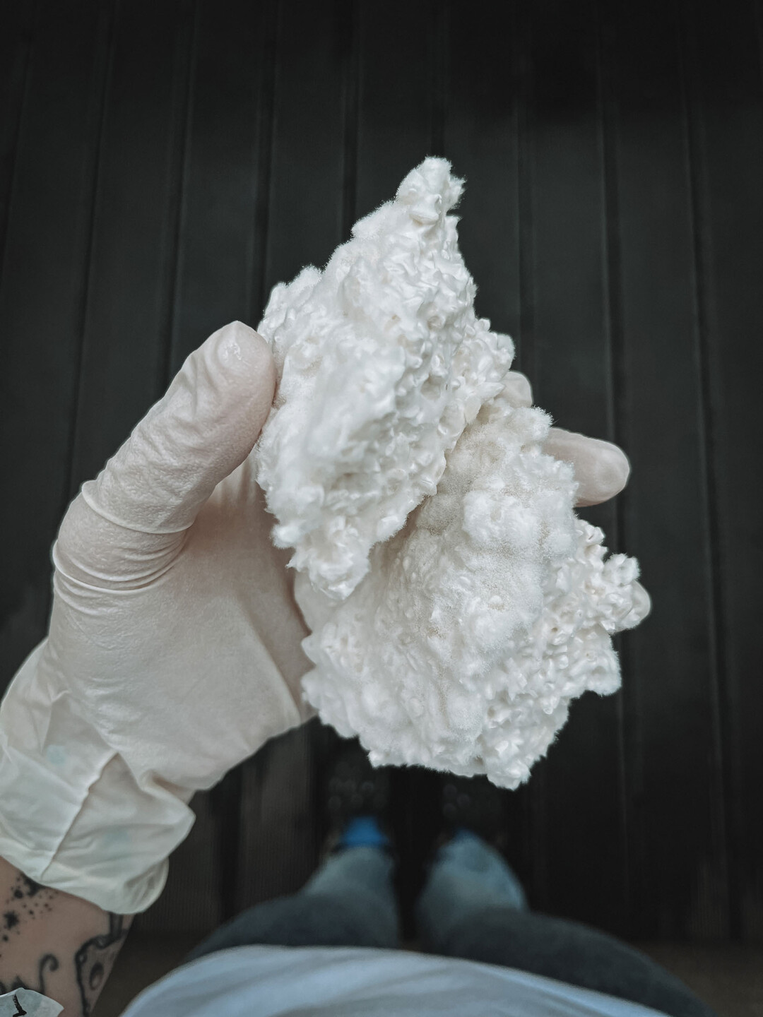 Рис, на котором Дарья вырастила плесень Aspergillus oryzae