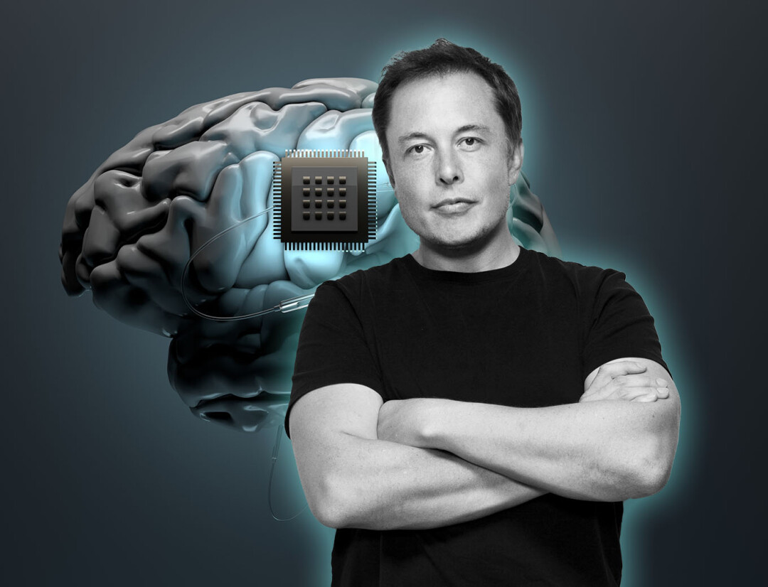 Компания Илона Маска Neuralink впервые вживила свой чип в мозг человека.  Что об этом известно? | Sobaka.ru