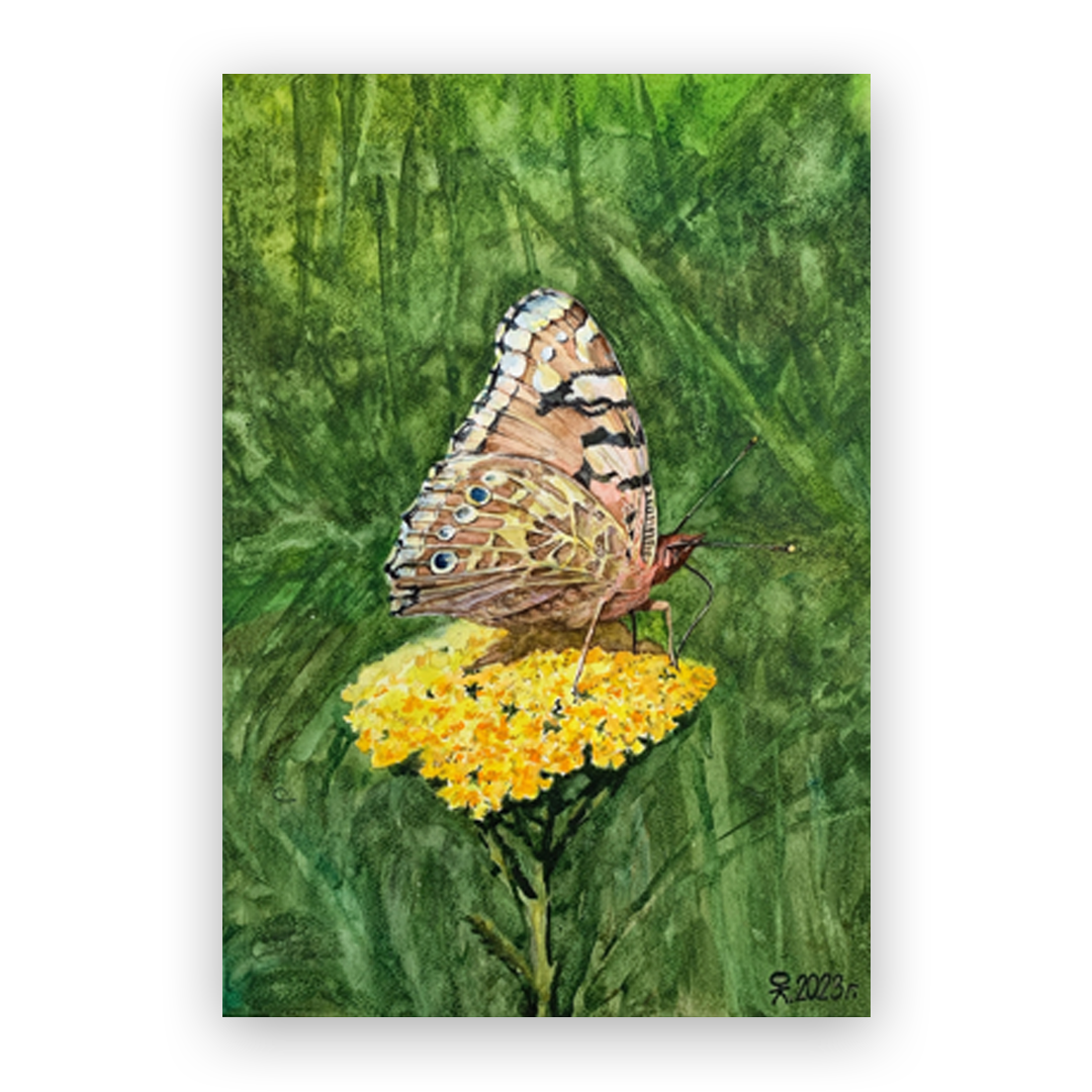 Юрий Лесничий, «Бабочка» Акварель, бумага, 30х40 см Главный специалист дизайн-студии «Синтез» создает не только графические концепции периодических