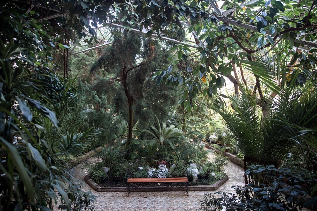 Ботанический сад