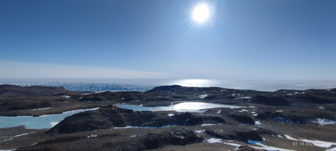 Оазис Ширмахера