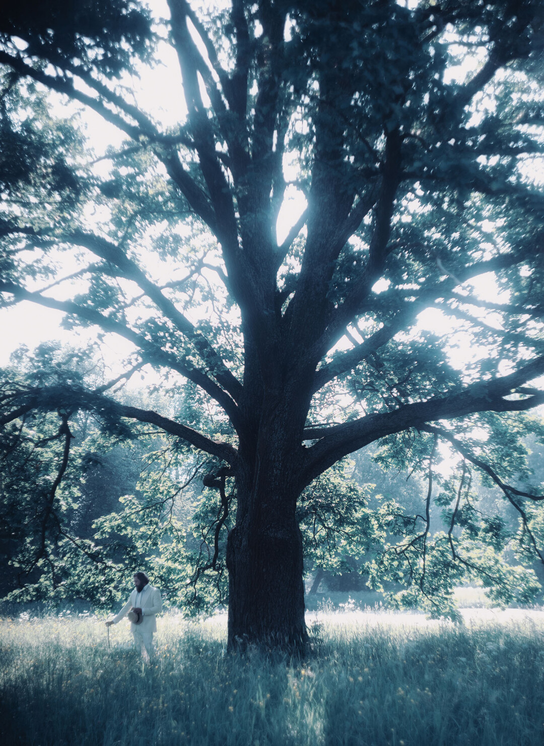 Петр Аксенов в усадьбе Коломенское у старого дуба, раскинувшегося шатром сочной темной зелени, млеющего, чуть колыхаясь в лучах вечернего солнца