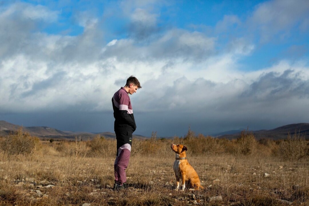 Жан-Батист Дюран, «Цепной пес», 2022 год