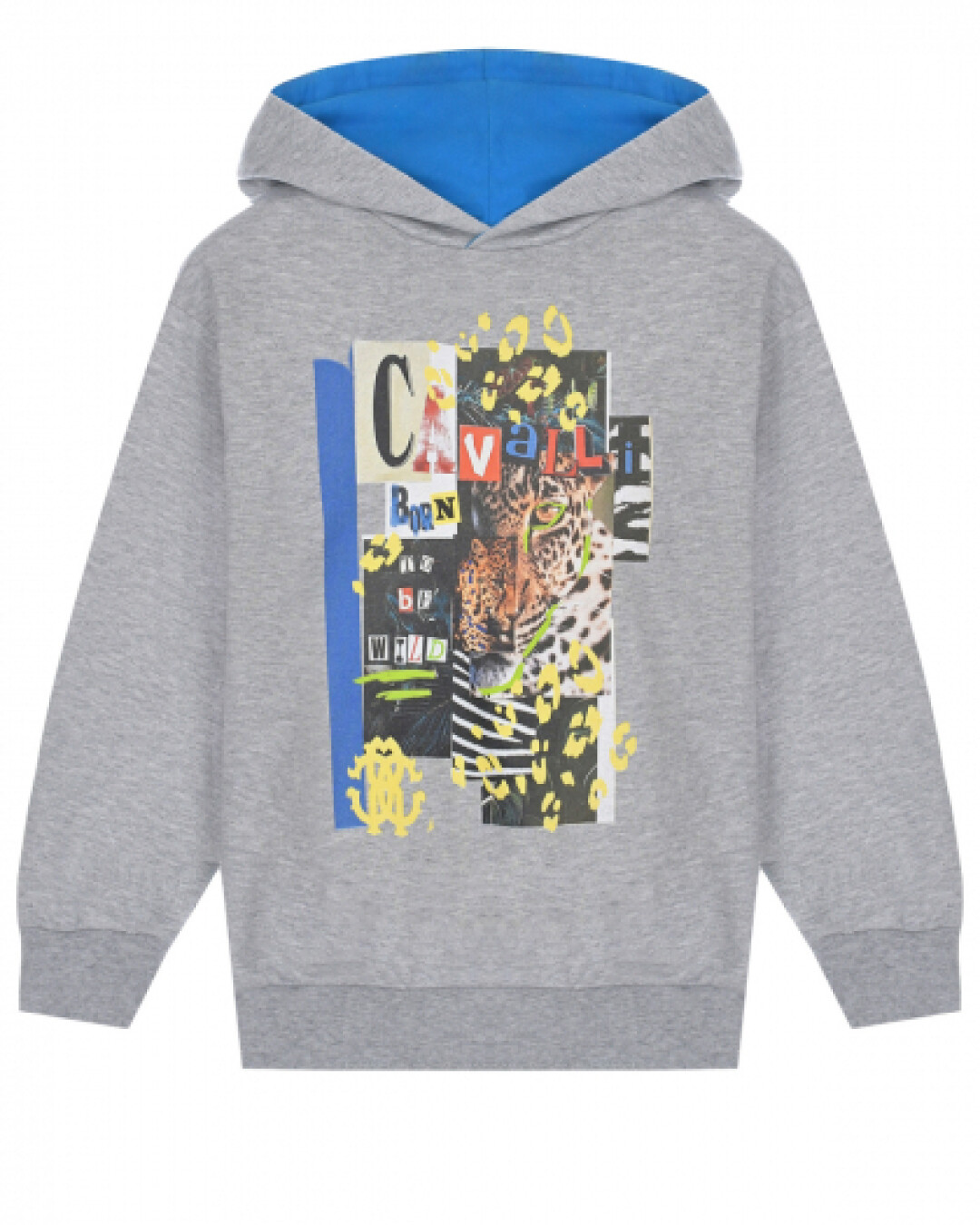 Толстовка-худи ROBERTO CAVALLI, 13 749 руб.