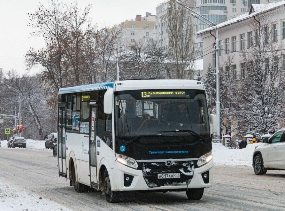 Фото: Федор Яшкин