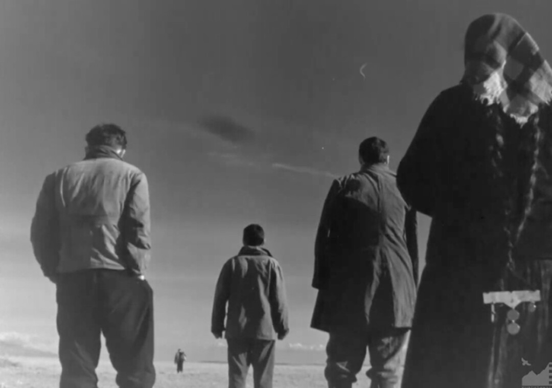 Кадр из фильма «Зной», 1963 год