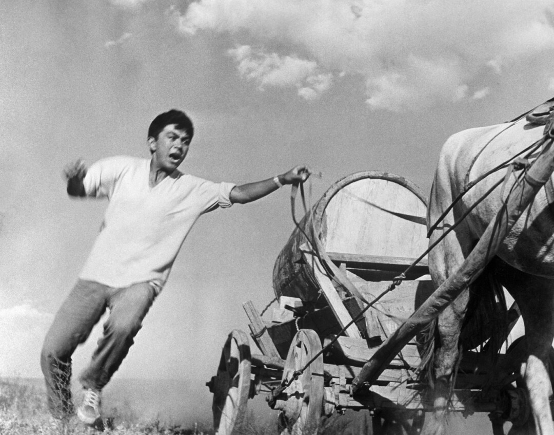 Кадр из фильма «Зной», 1963 год