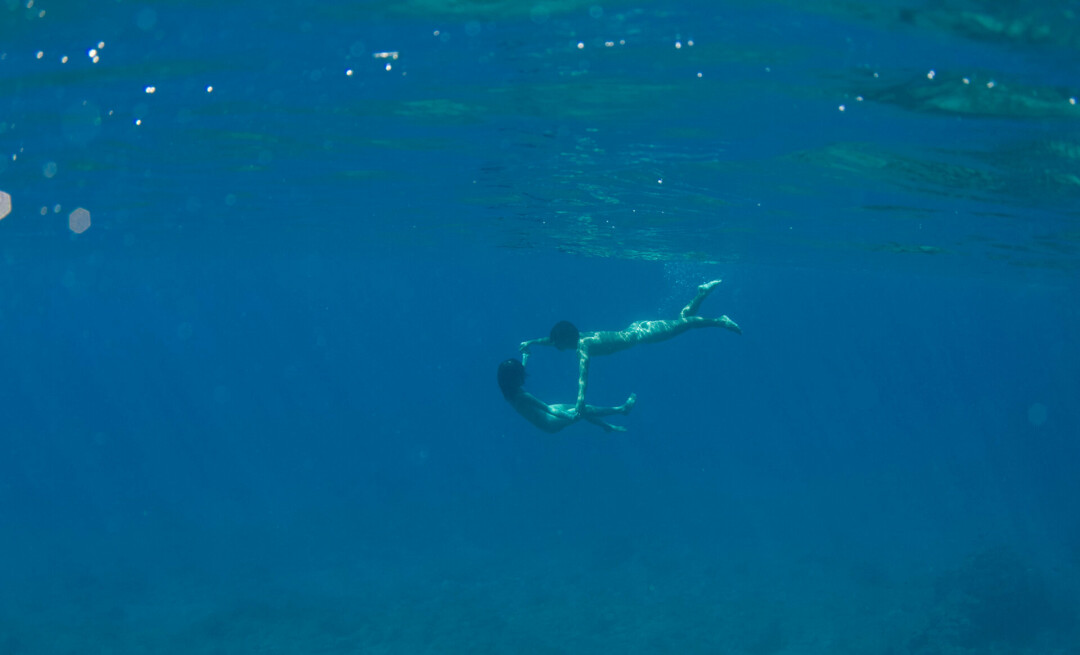 «Тихие воды», 2014 год