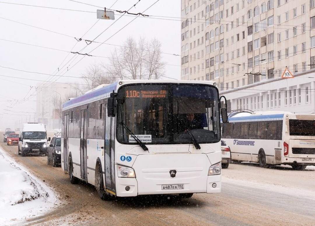 Мрак и 90-е»: уфимцы снова массово жалуются на отсутствие автобусов |  Sobaka.ru