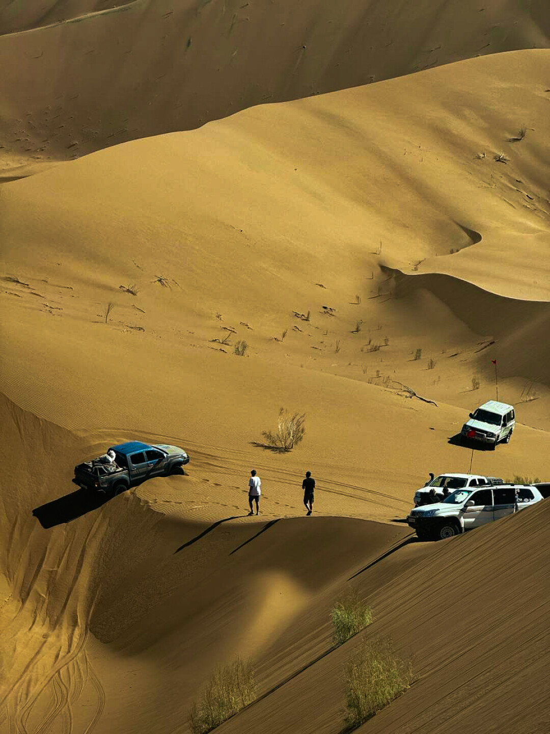 Когда машина не может подняться на бархан, группа остается ждать