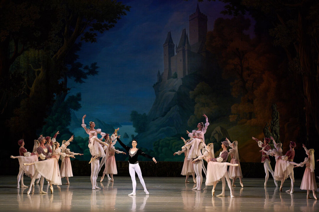 «Лебединое озеро»