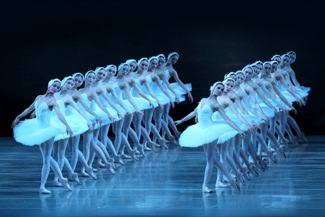 «Лебединое озеро»