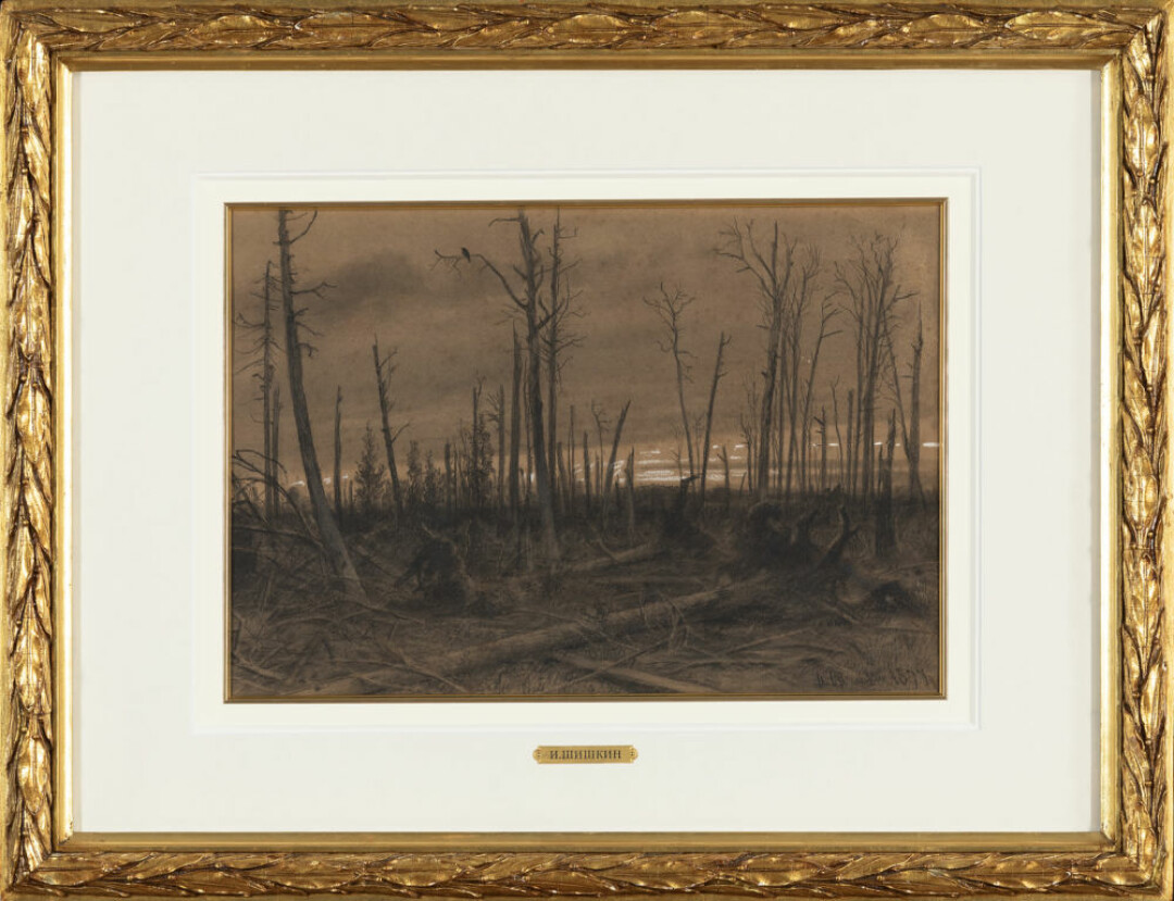 Иван Шишкин, «Горелый лес», 1877 год.