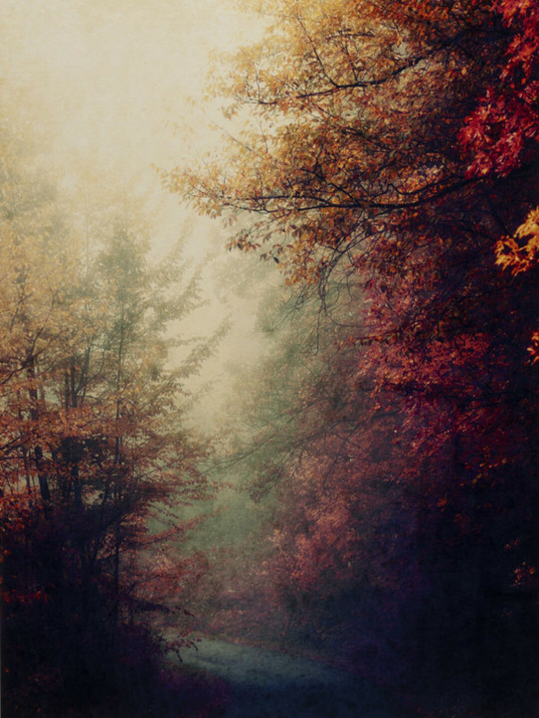 Энзо Криспино, «За пределами видимого #8», 2012 год