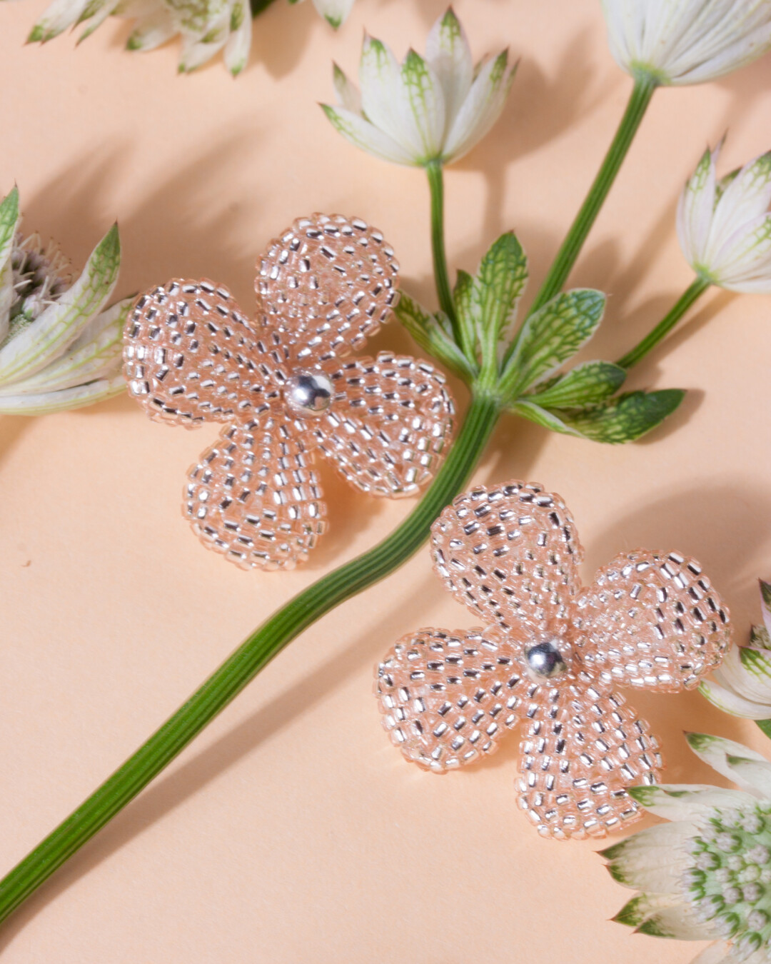 Пуссета alvaar, 4 000 руб.