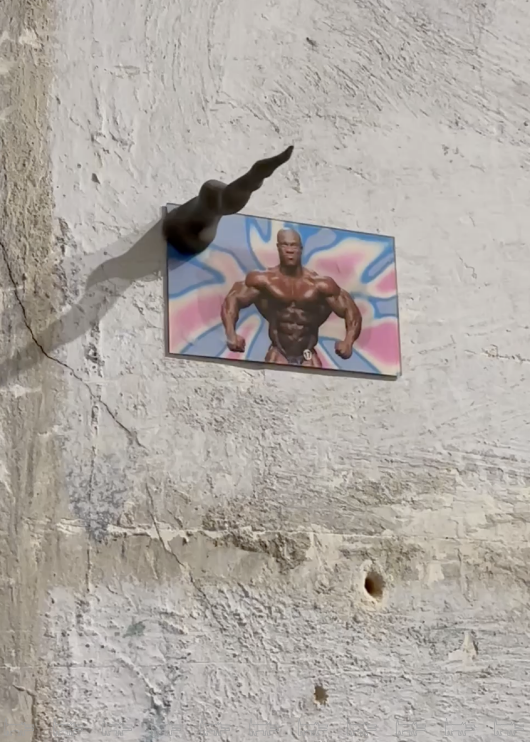 Фото с экспозиции