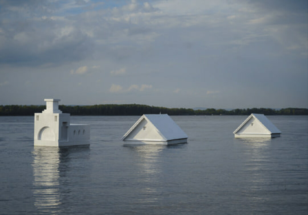 Ася Заславская. Инсталляция «Уходящая натура». 2020