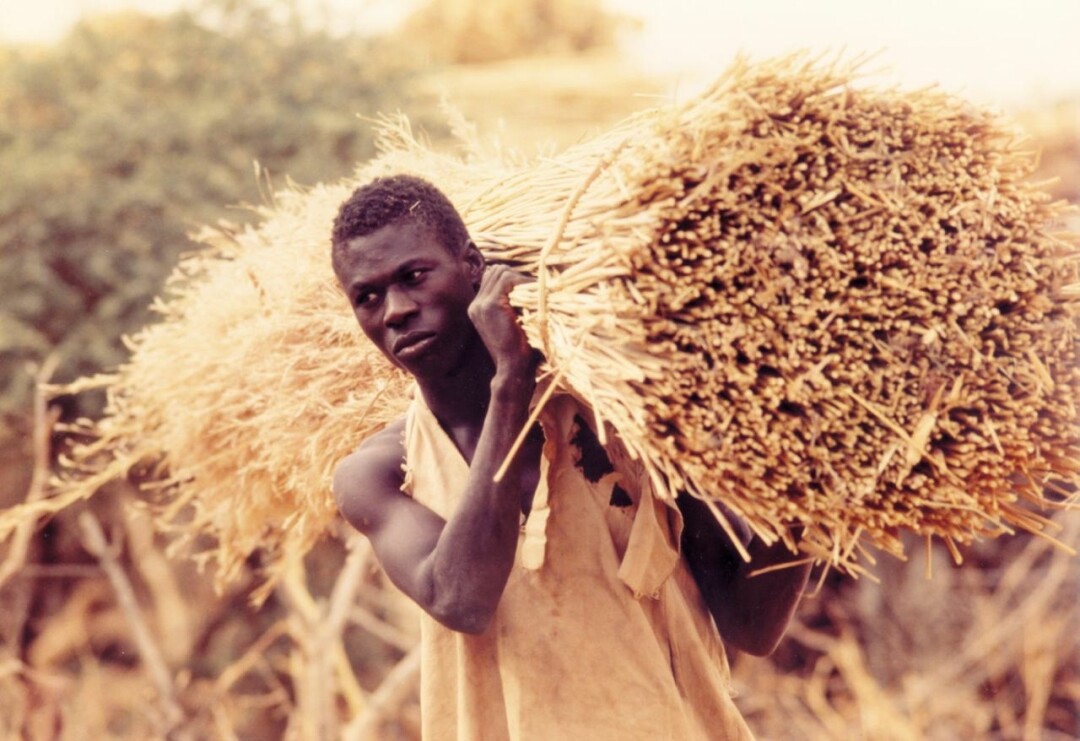 Идрисса Уэдраого, «Вопрос чести», 1990 год