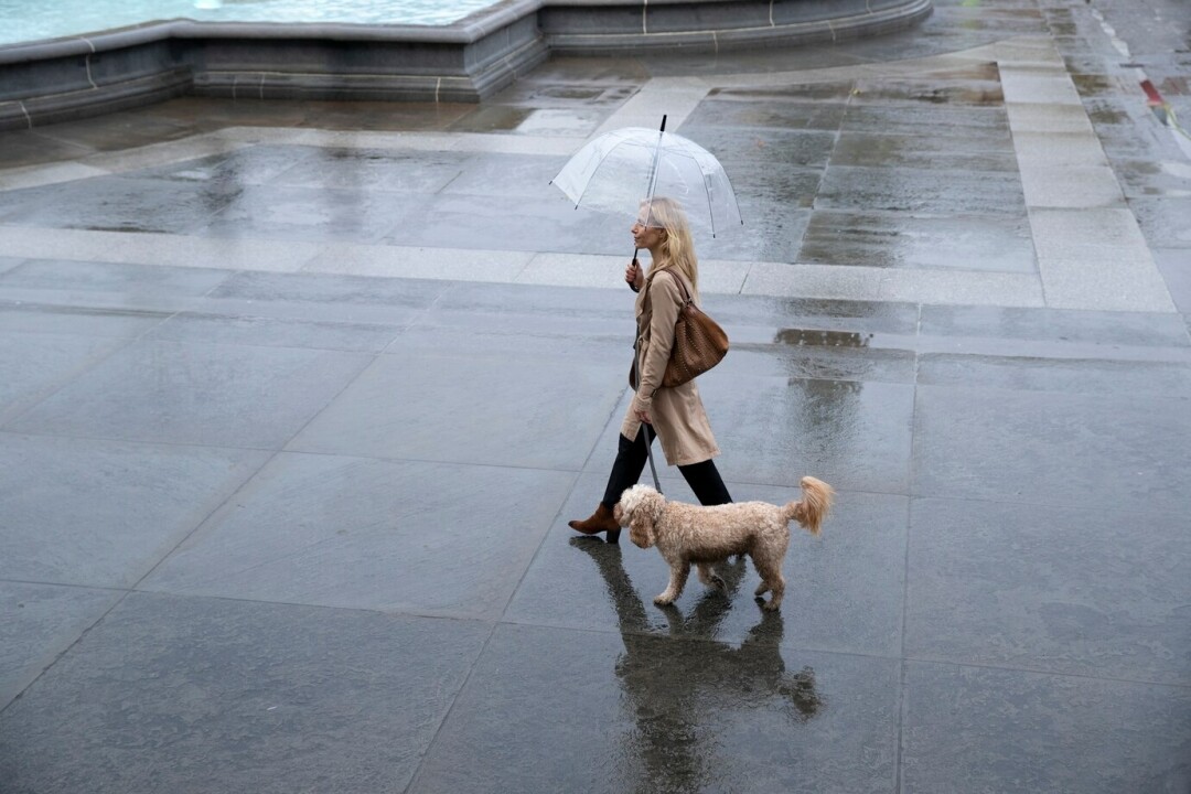 Климат, погода по месяцам, средняя температура в Уфа (Россия) - Weather Spark