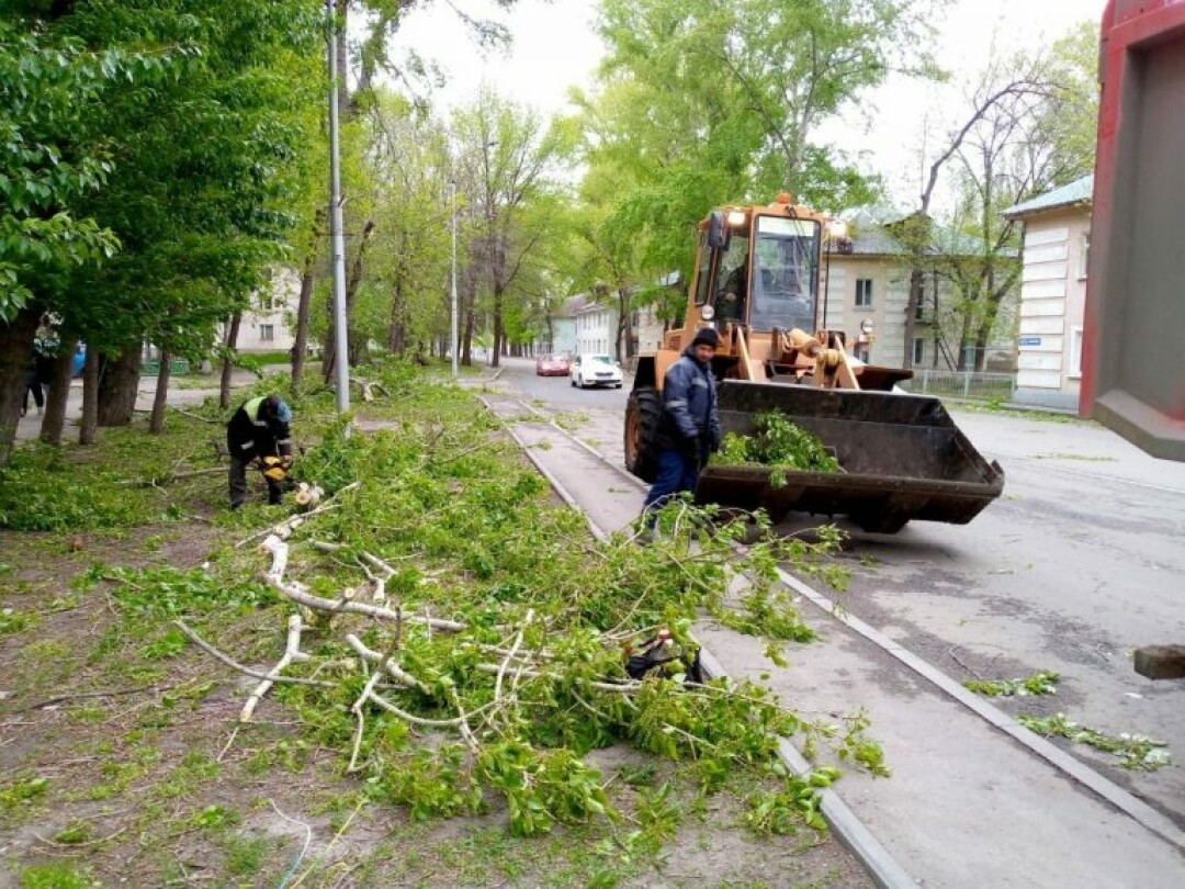 Штормовое предупреждение: в Уфе из-за непогоды пострадали 5 автомобилей,  госпитализирована женщина | Sobaka.ru