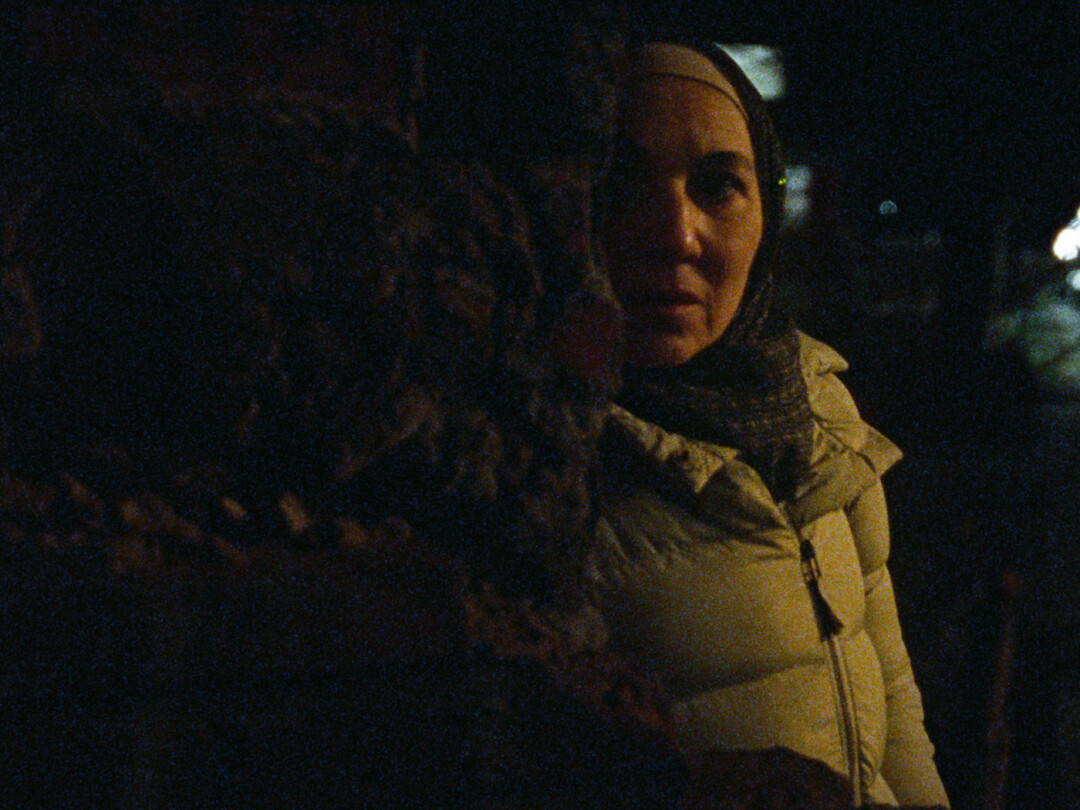 «Призрачные тропики»