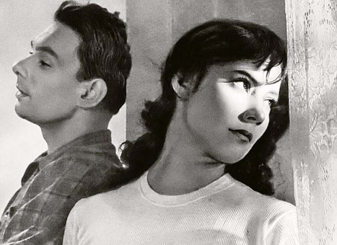 «Летят журавли»