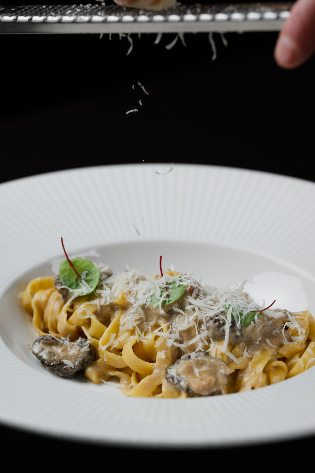 Домашняя паста со сморчками и пармезаном в La Bottega