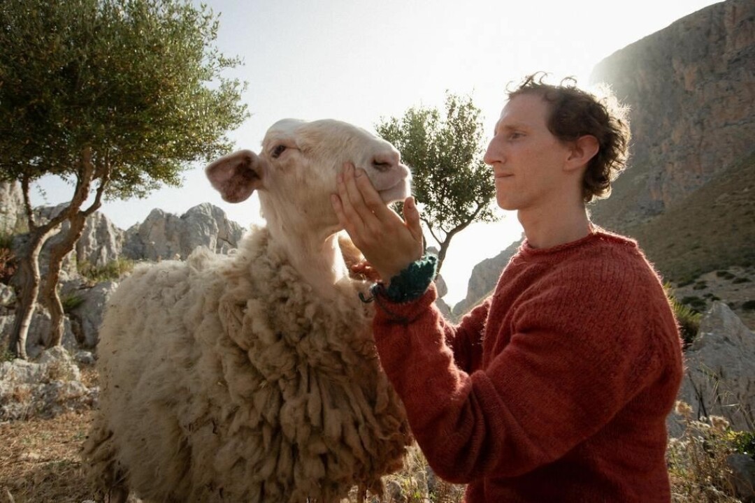 «Милосердие»