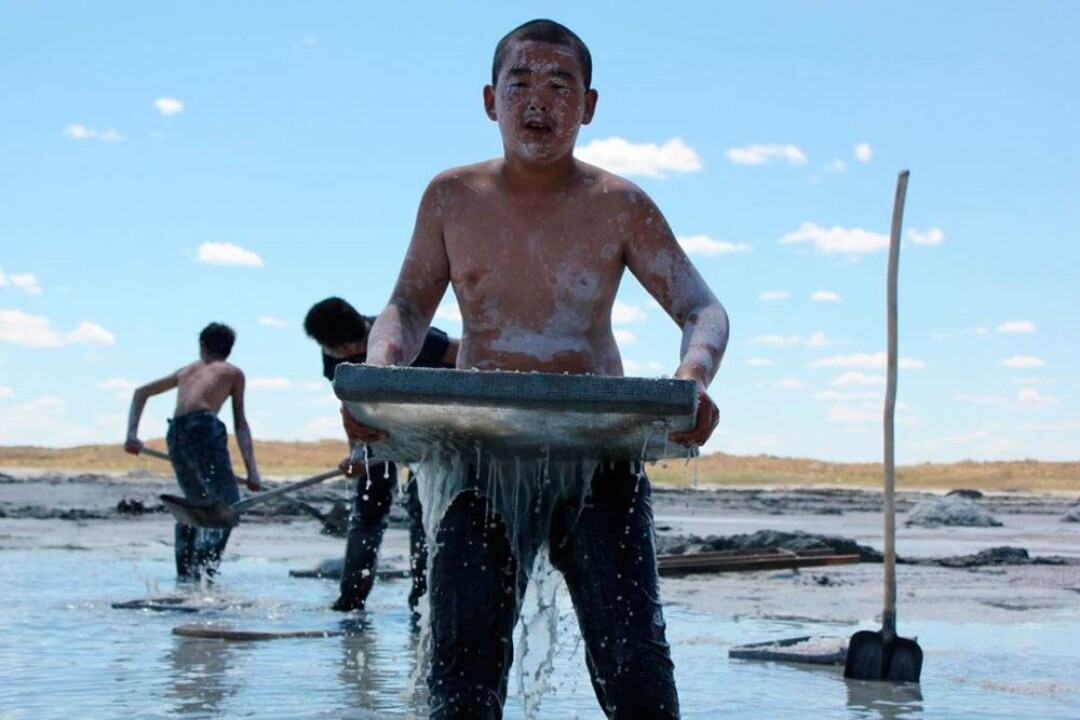 «Бауырына салу»