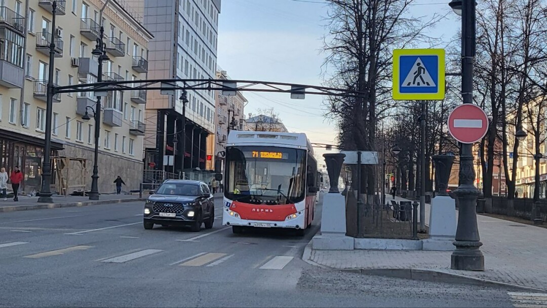 В День города и накануне изменится работа общественного транспорта |  Sobaka.ru