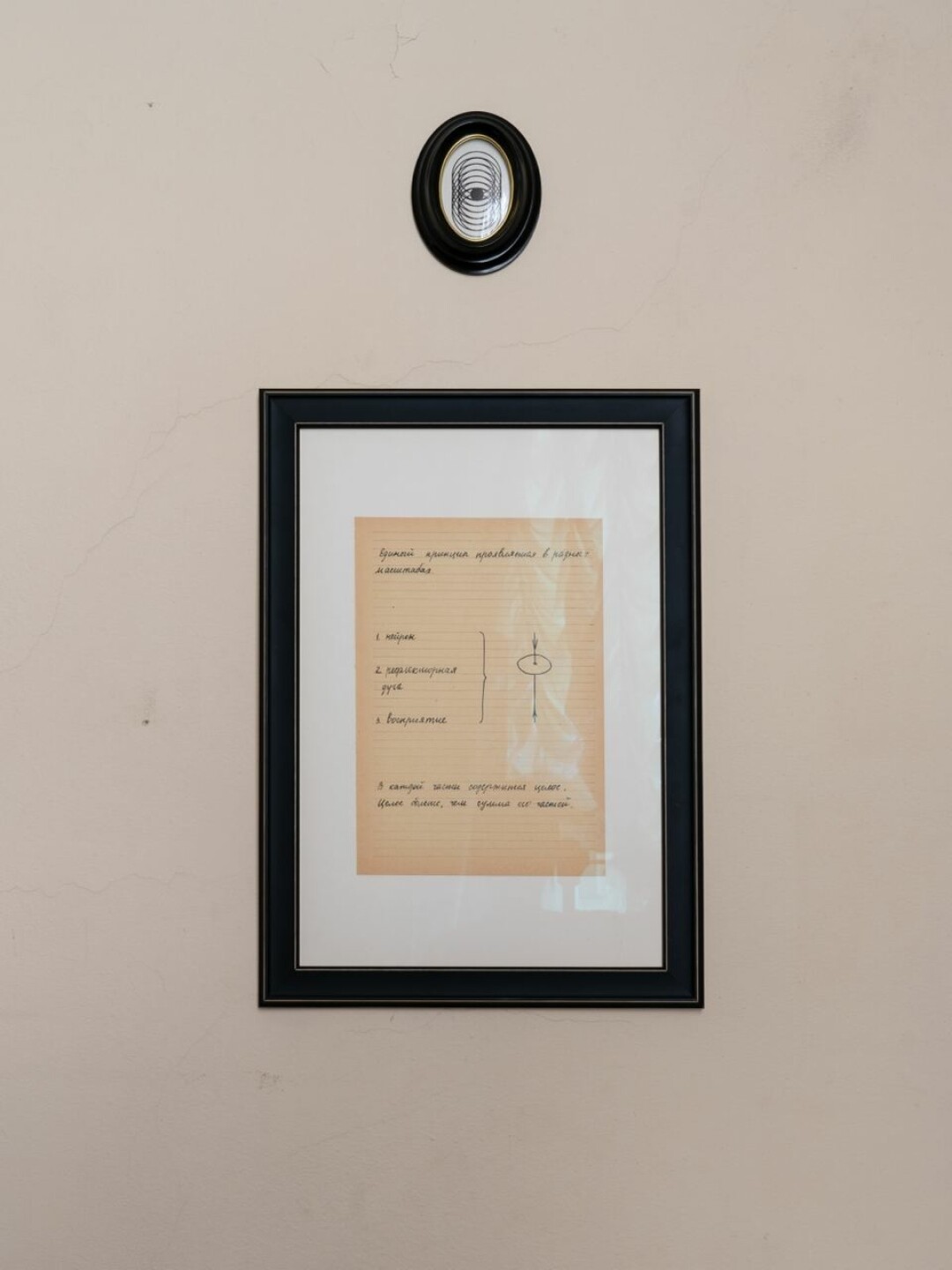 Reflexio, Дарья Правда