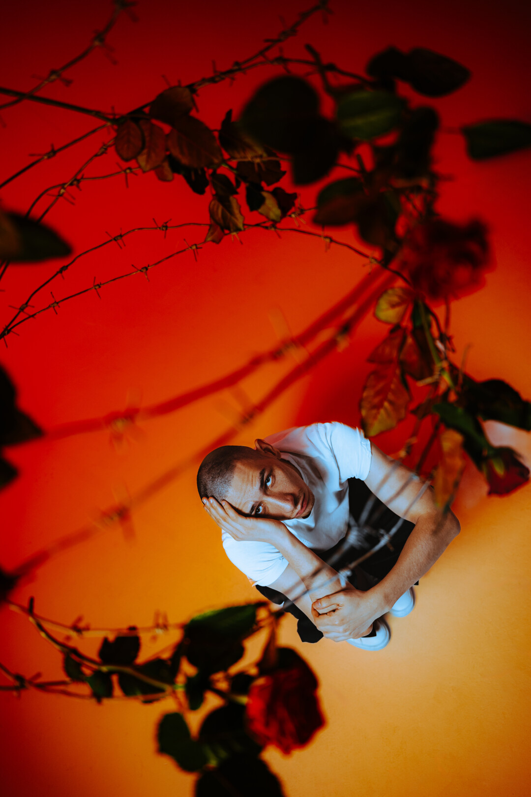 Владимир Гарцунов