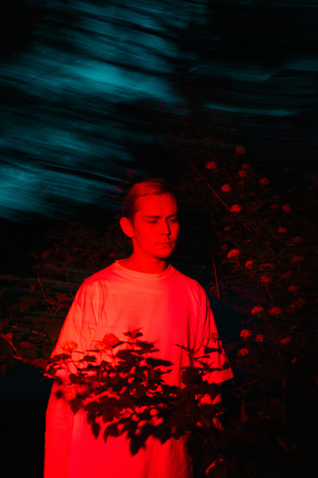 Дмитрий Крылов